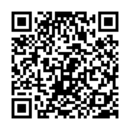 QR code for YYZ239