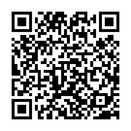 QR code for YZP419