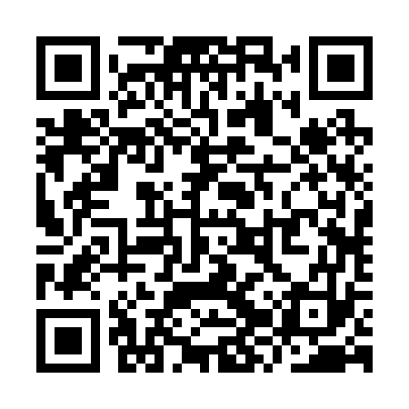 QR code for YZR273
