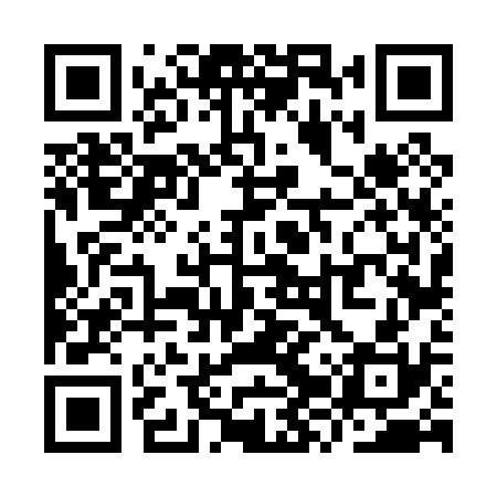 QR code for YZV030