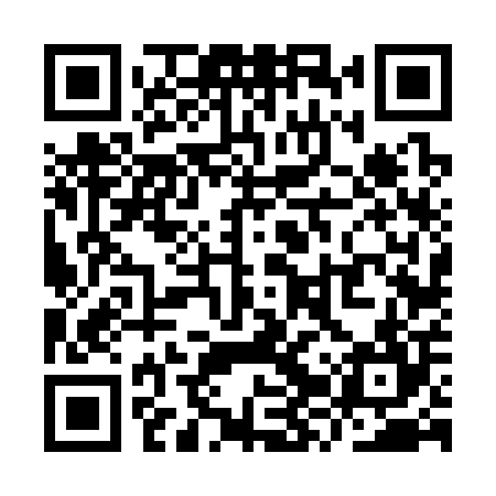QR code for YZV304
