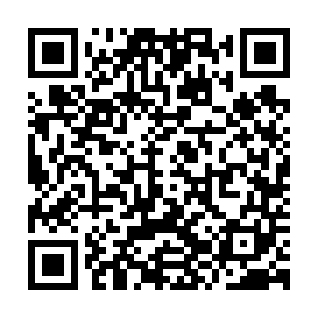 QR code for YZV641