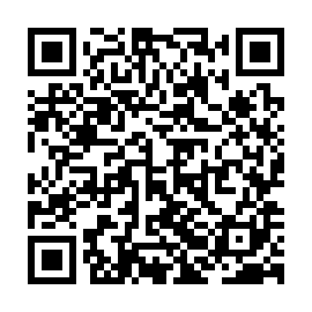 QR code for ZBO381