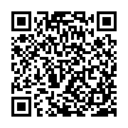 QR code for ZCK384