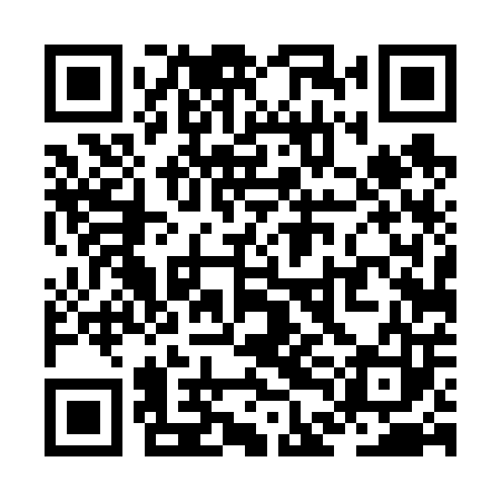 QR code for ZDD603