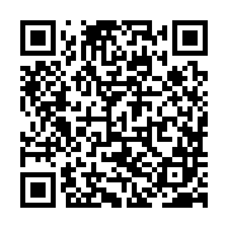 QR code for ZDJ382