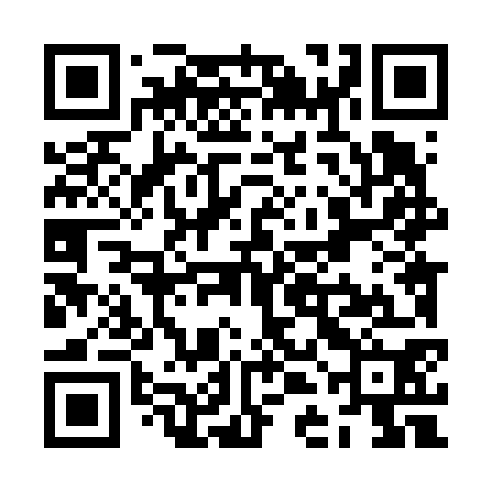 QR code for ZDL670