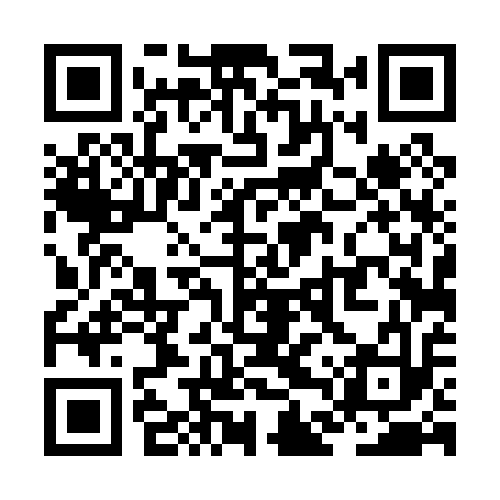 QR code for ZDT013