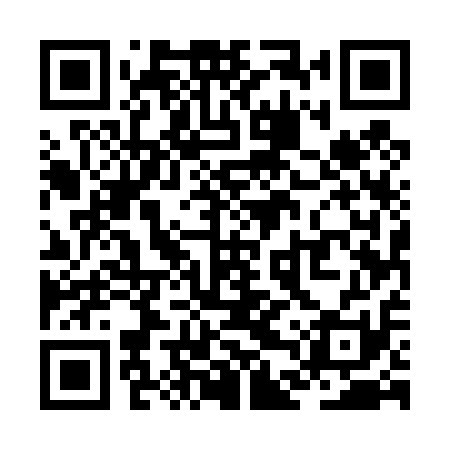 QR code for ZDU411