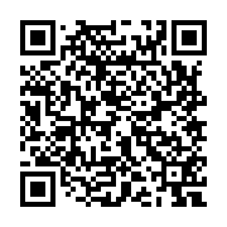 QR code for ZDZ951