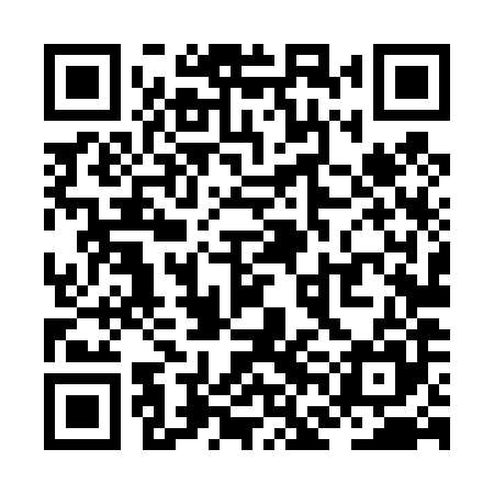 QR code for ZFL485