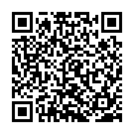 QR code for ZFW334
