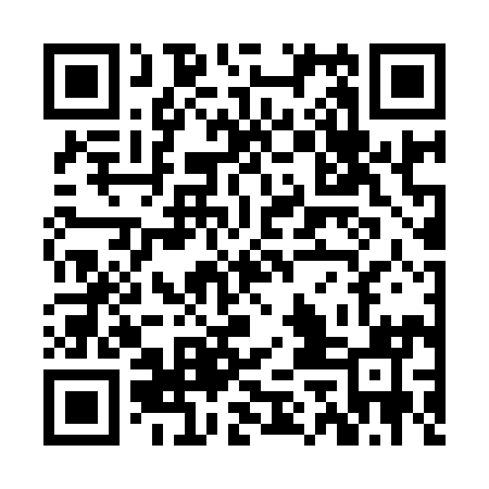 QR code for ZGB991