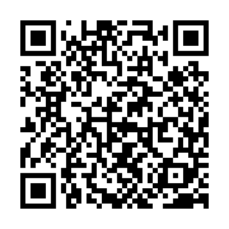 QR code for ZGU249