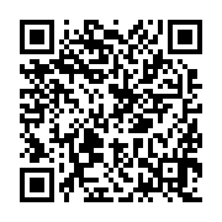 QR code for ZGV294
