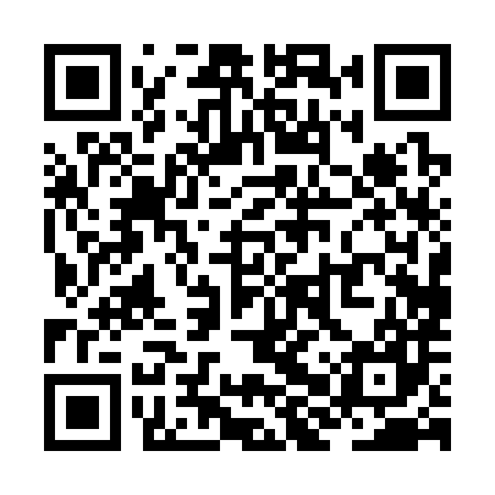 QR code for ZHP387