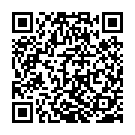 QR code for ZHU208