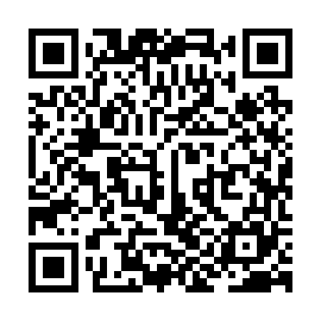 QR code for ZII265