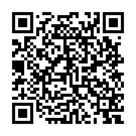 QR code for ZJC161