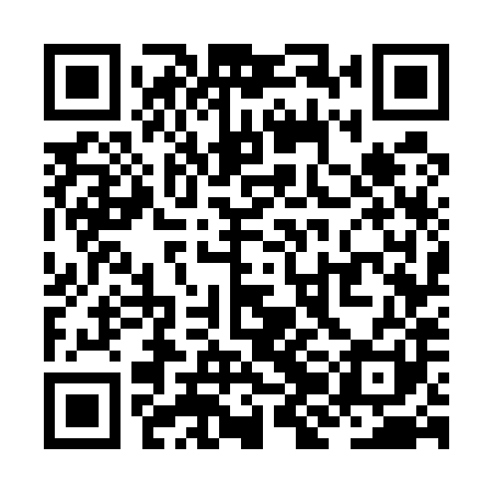 QR code for ZJG581