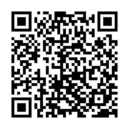 QR code for ZJM385