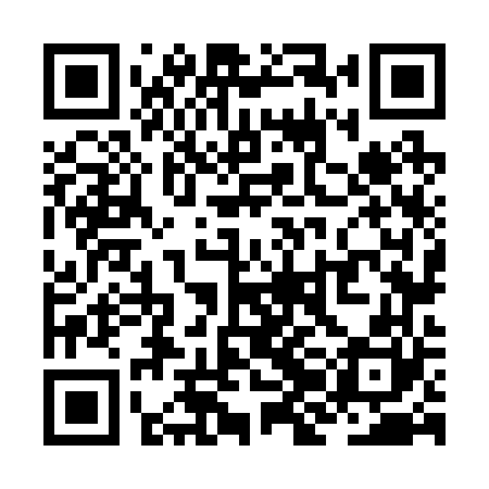 QR code for ZJN260