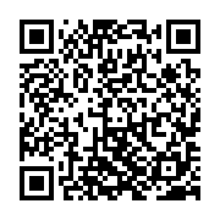 QR code for ZJN395