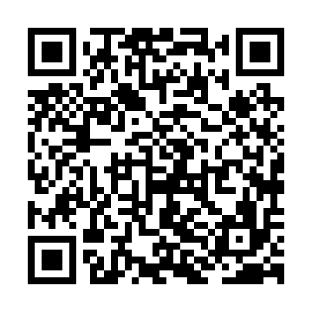 QR code for ZLH216