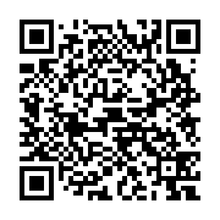 QR code for ZLP339