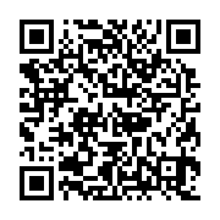 QR code for ZLS331