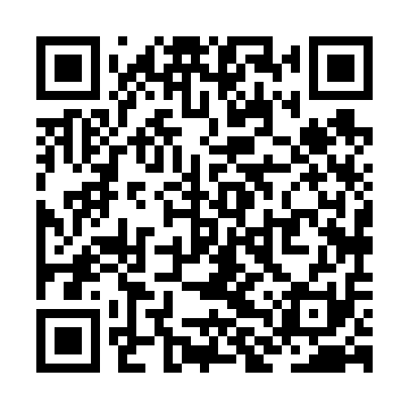 QR code for ZLX611