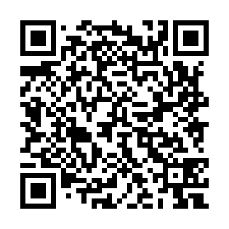 QR code for ZLX938