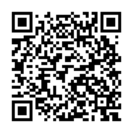 QR code for ZMC313