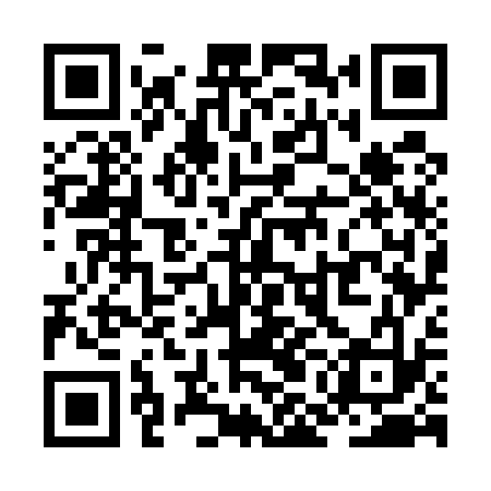 QR code for ZMG533