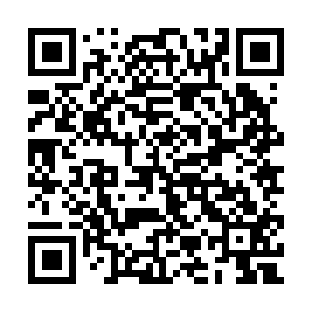 QR code for ZMZ213