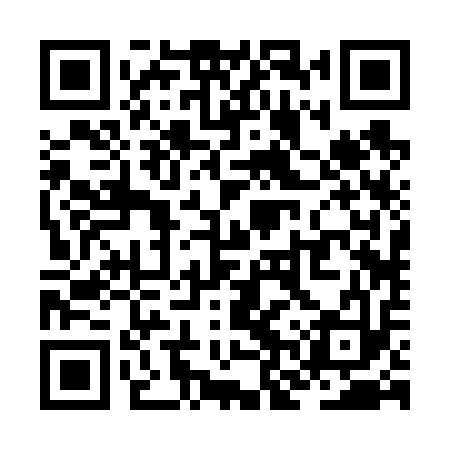 QR code for ZNR613