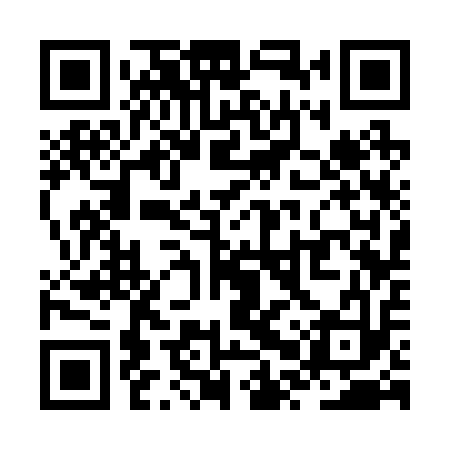 QR code for ZPS213