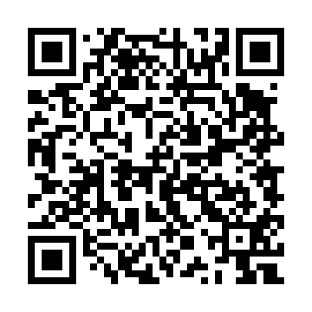 QR code for ZPT411