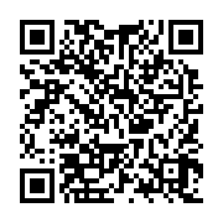 QR code for ZQL308