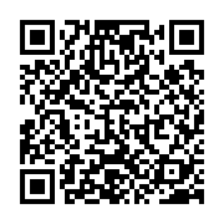 QR code for ZSG729