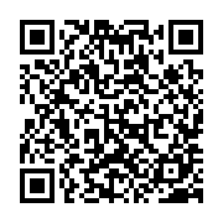 QR code for ZSN385