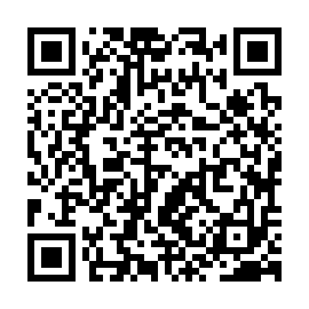 QR code for ZSZ313