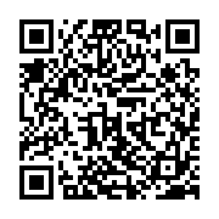 QR code for ZTC333