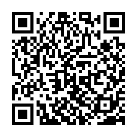 QR code for ZTG311