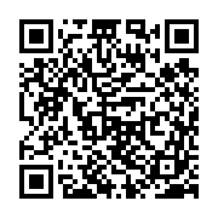 QR code for ZTI663