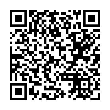 QR code for ZTL339