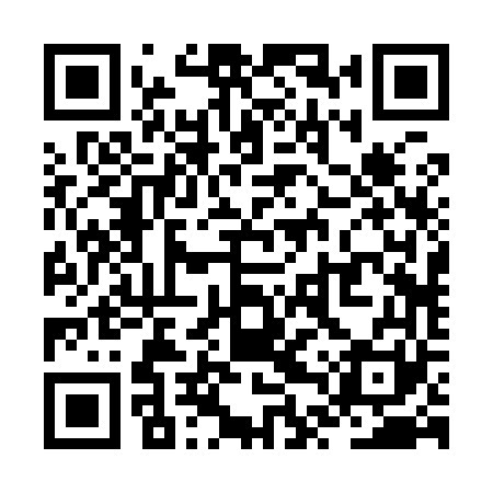 QR code for ZTR961