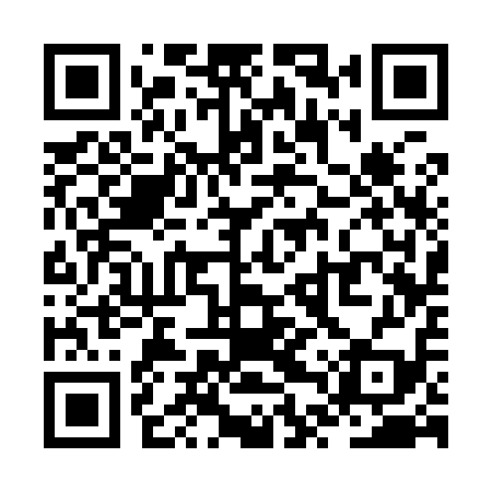 QR code for ZTS919