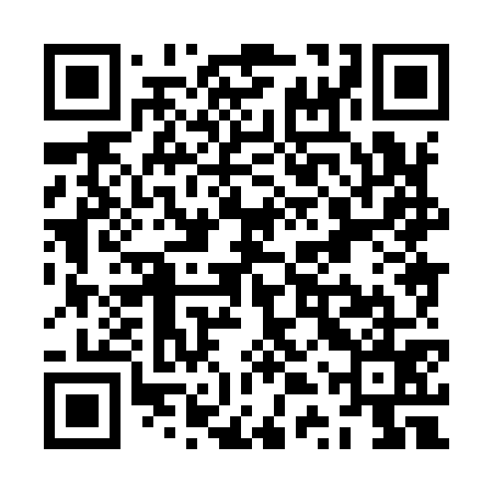 QR code for ZTX975