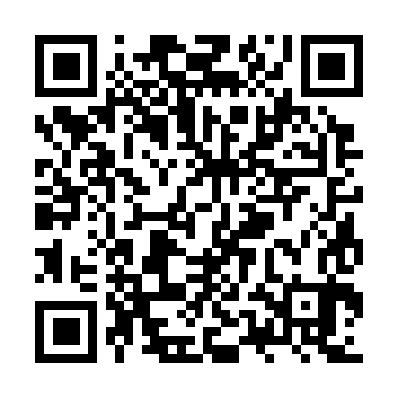 QR code for ZUC383